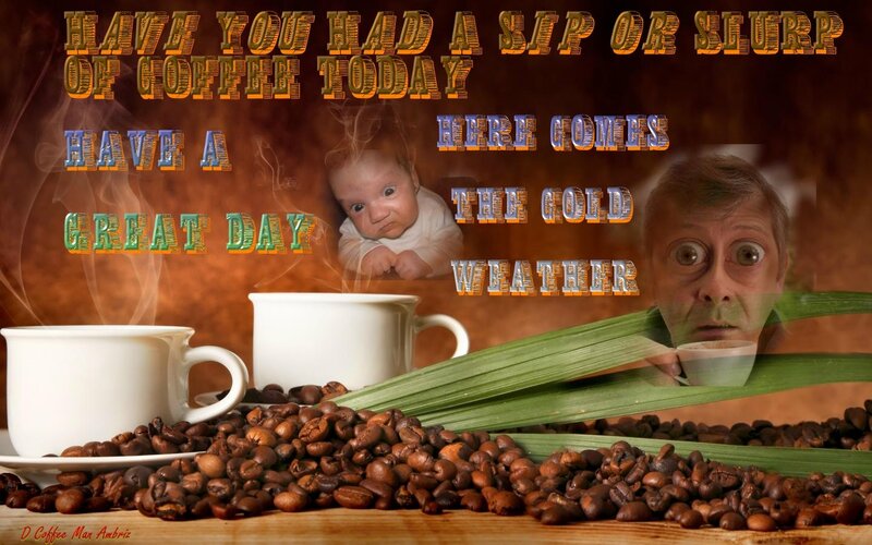 Coffee Beans and Cups — Brown, Humorous