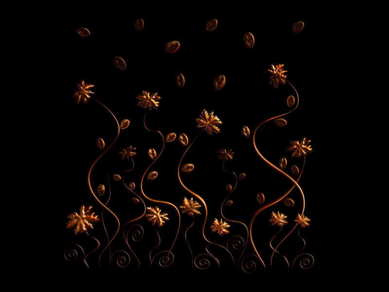 coffee beans and flowers art