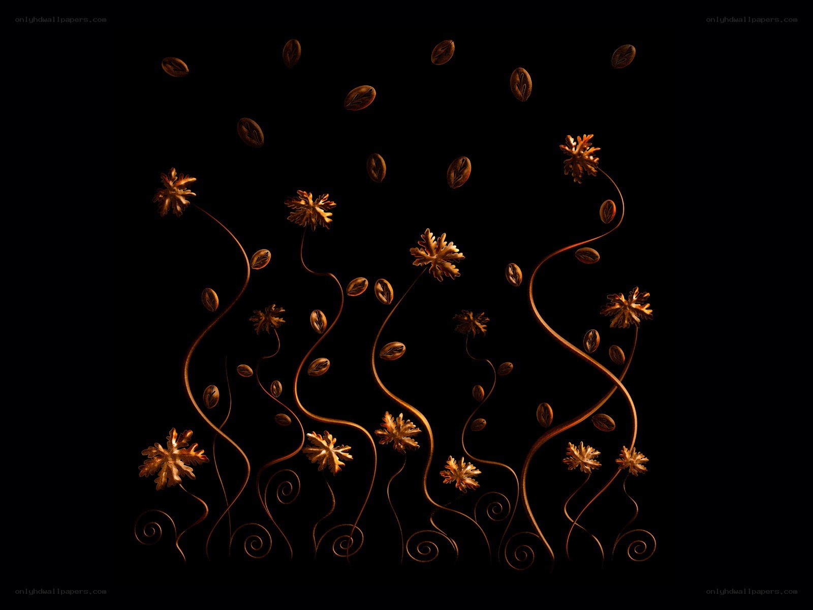 coffee beans and flowers art
