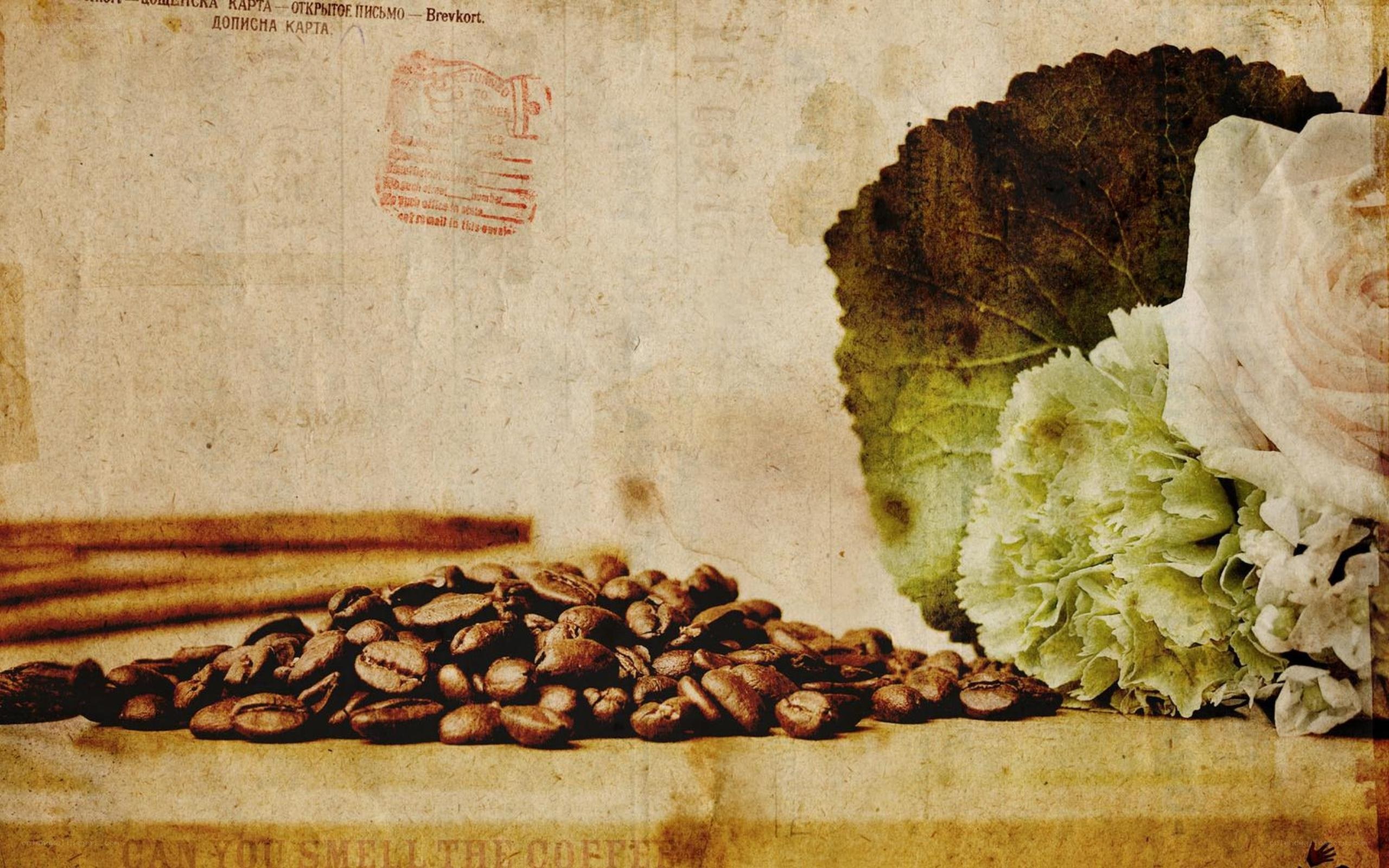 coffee beans and flowers on old paper