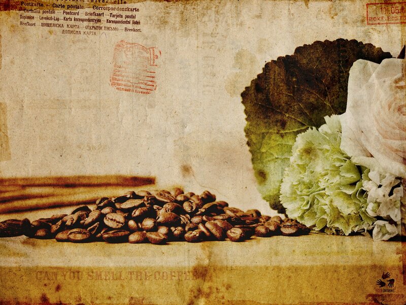 coffee beans and flowers on vintage paper