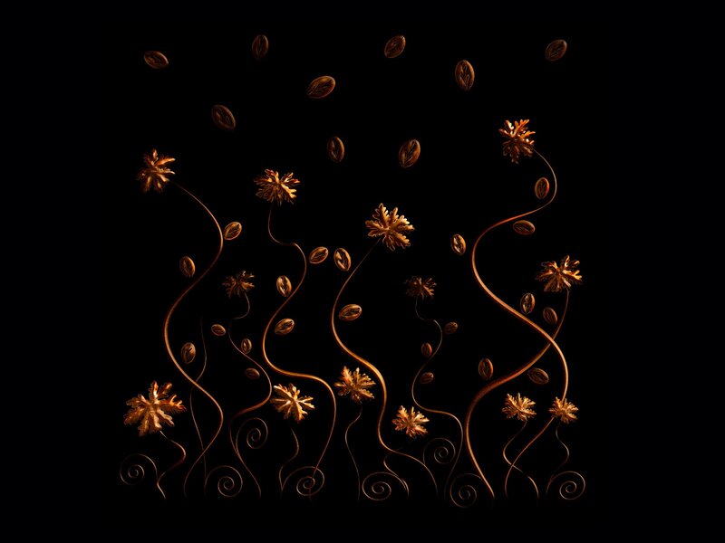coffee beans and flowers
