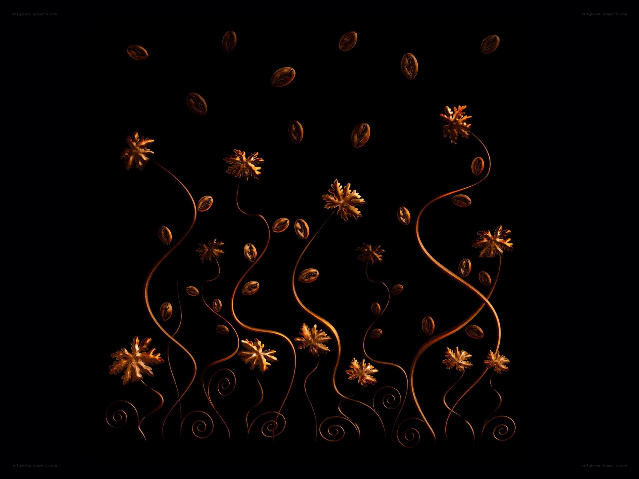 coffee beans and flowers
