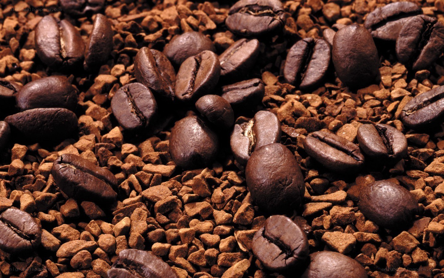 coffee beans and granules