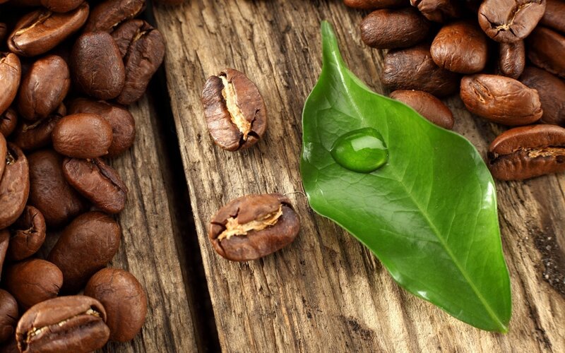 coffee beans and green leaf