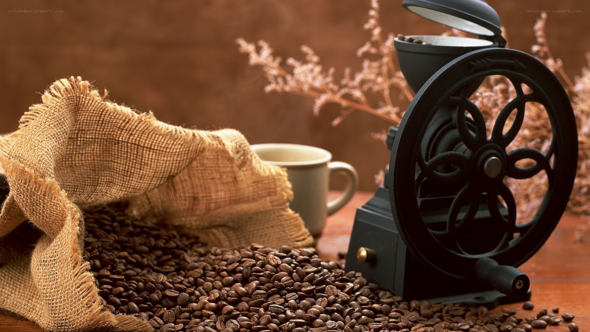 coffee beans and grinder