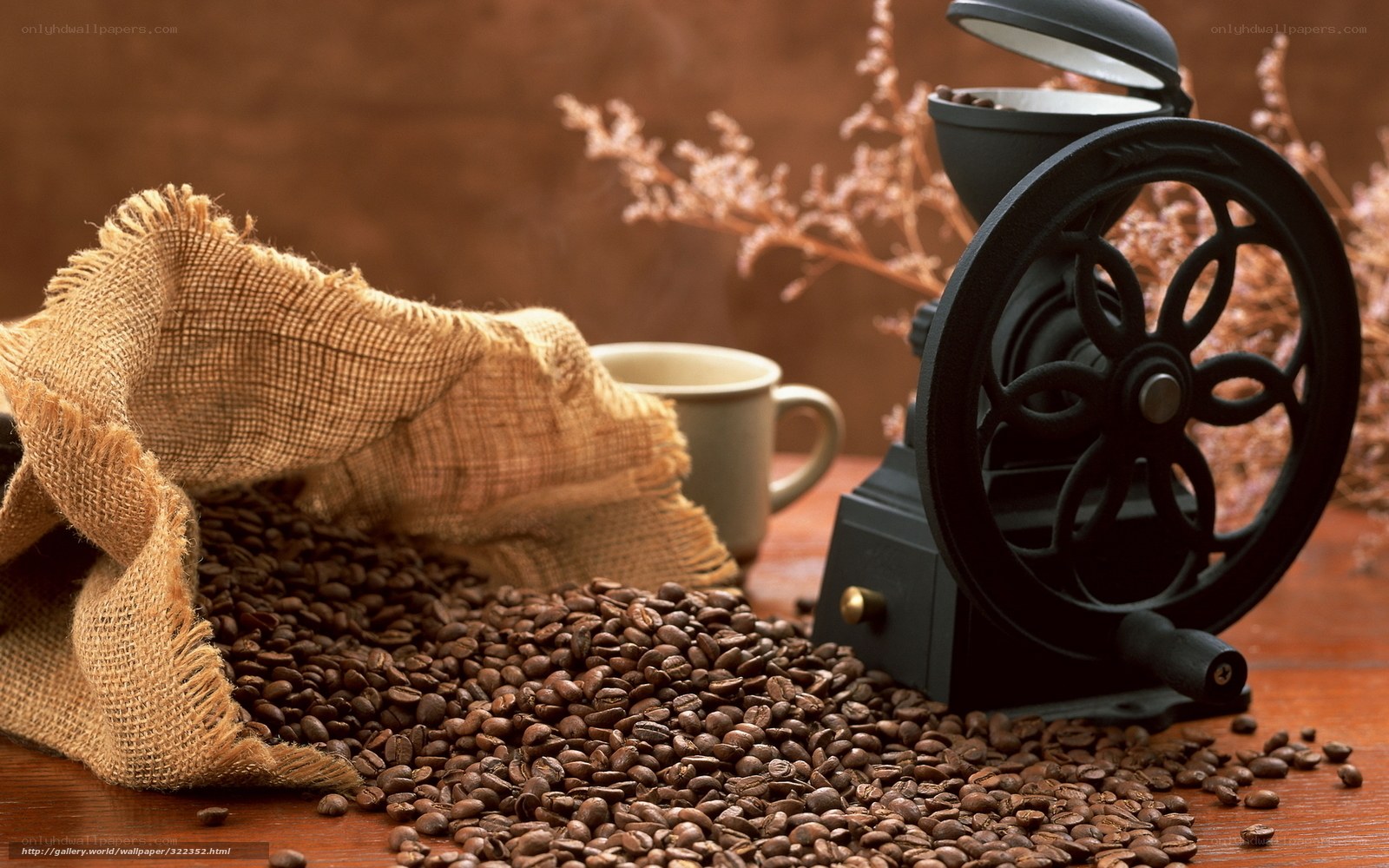 coffee beans and grinder