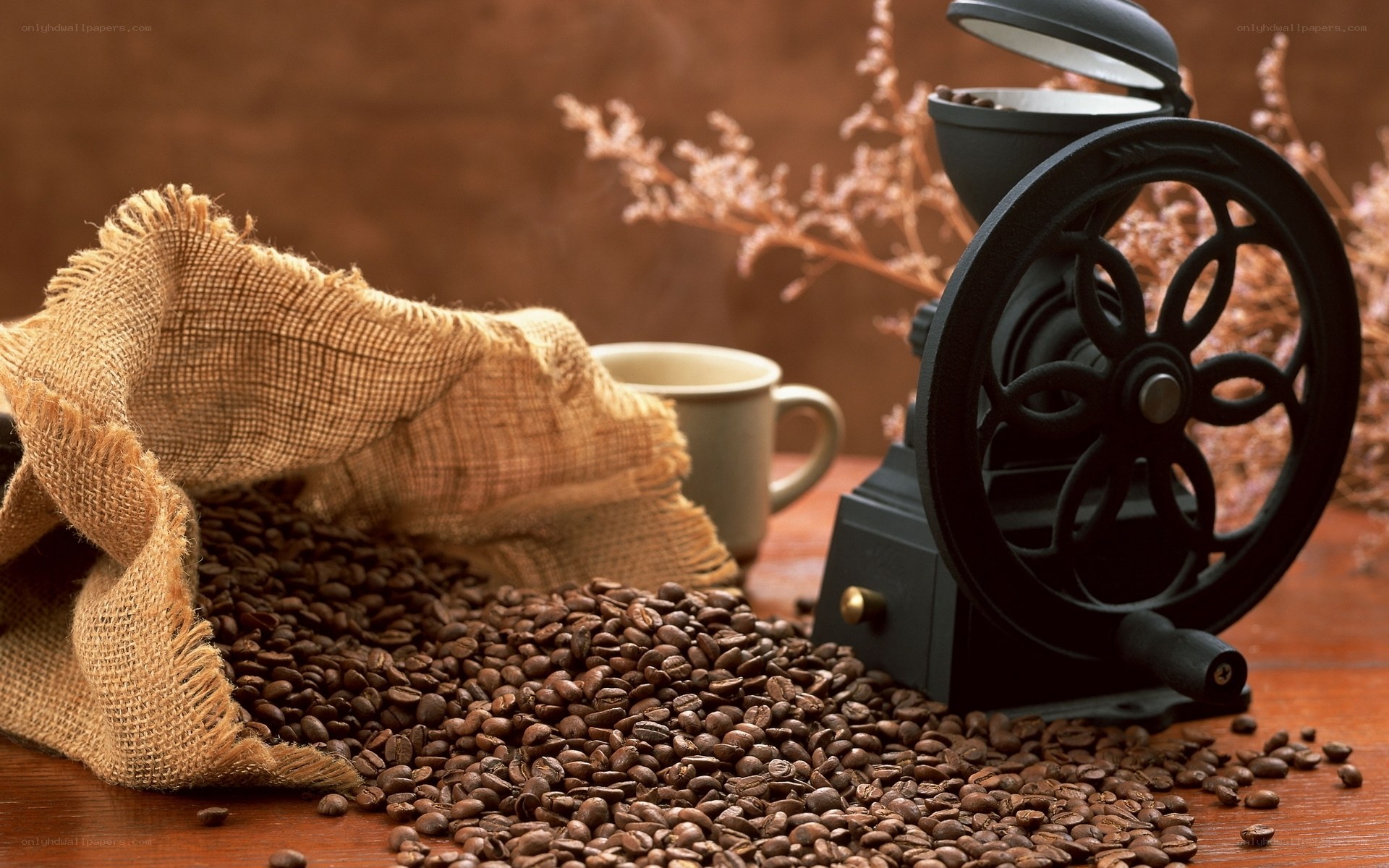 coffee beans and grinder