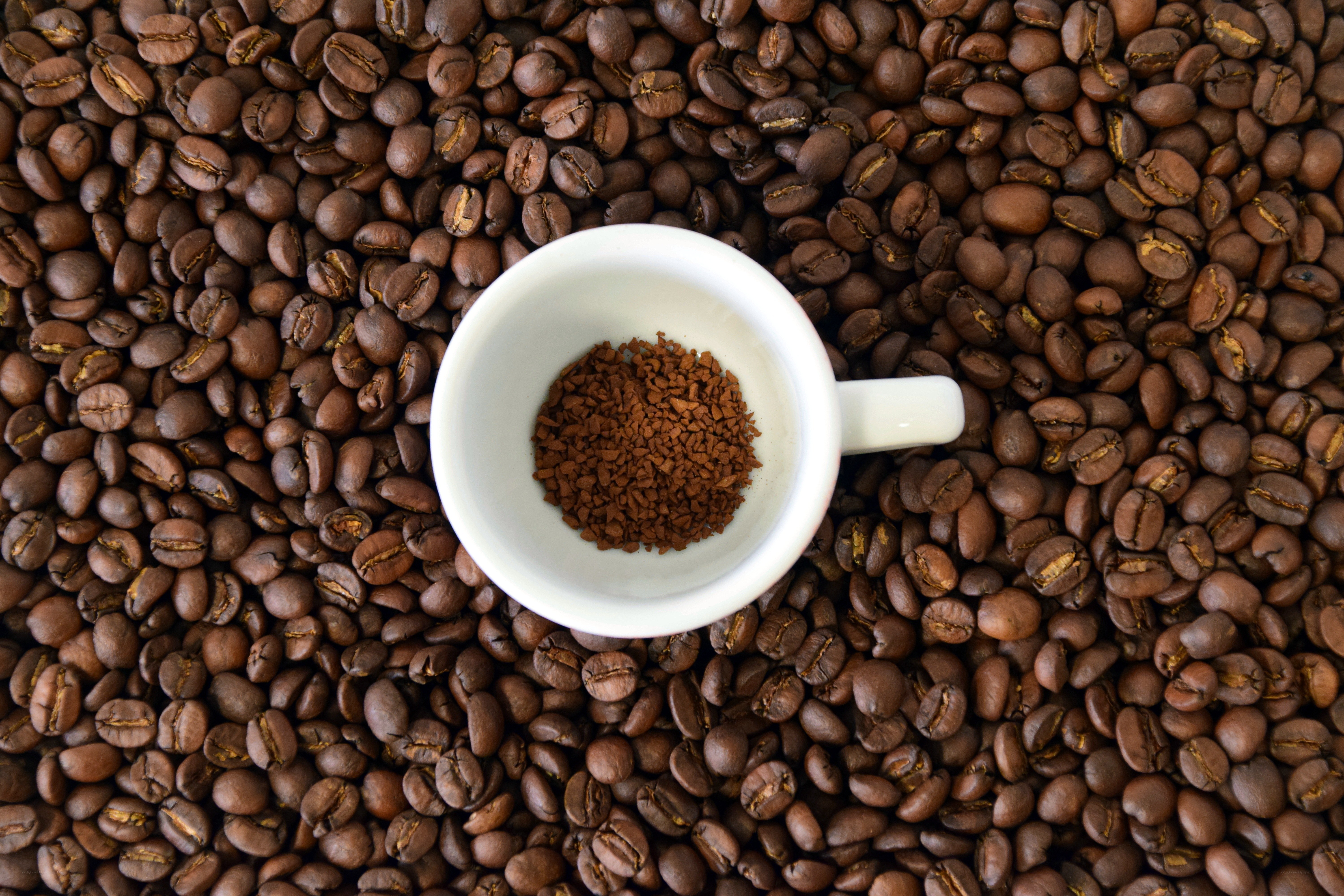 coffee beans and instant coffee