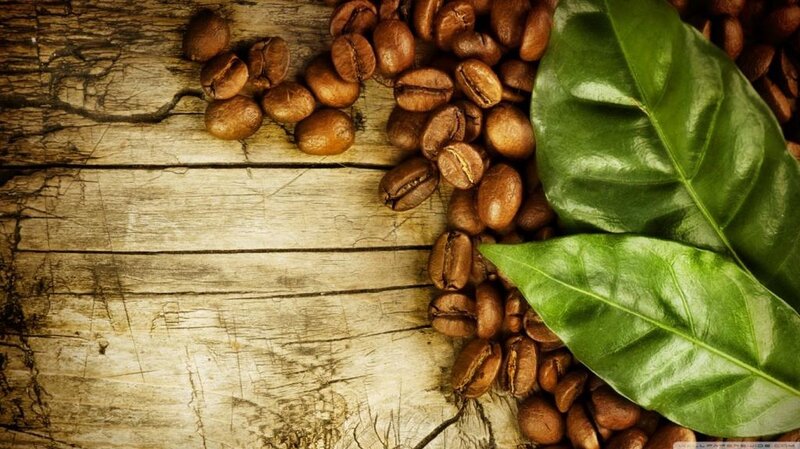 Coffee Beans and Leaves — Brown
