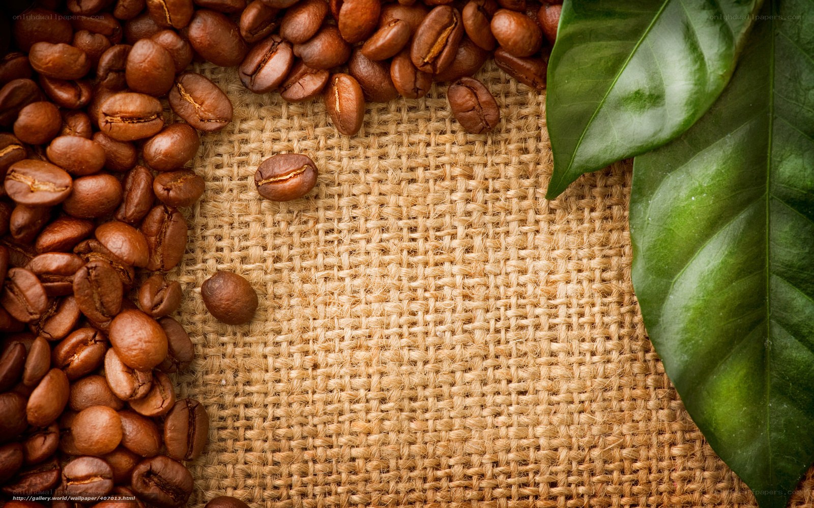coffee beans and leaves on burlap