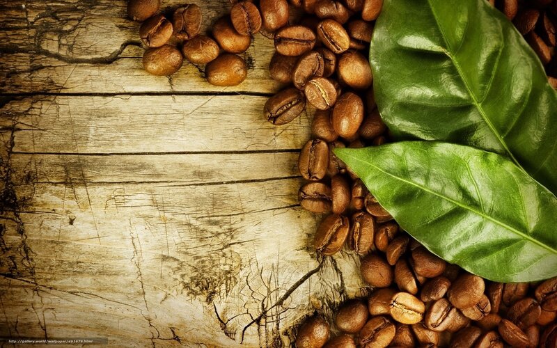 coffee beans and leaves on wood