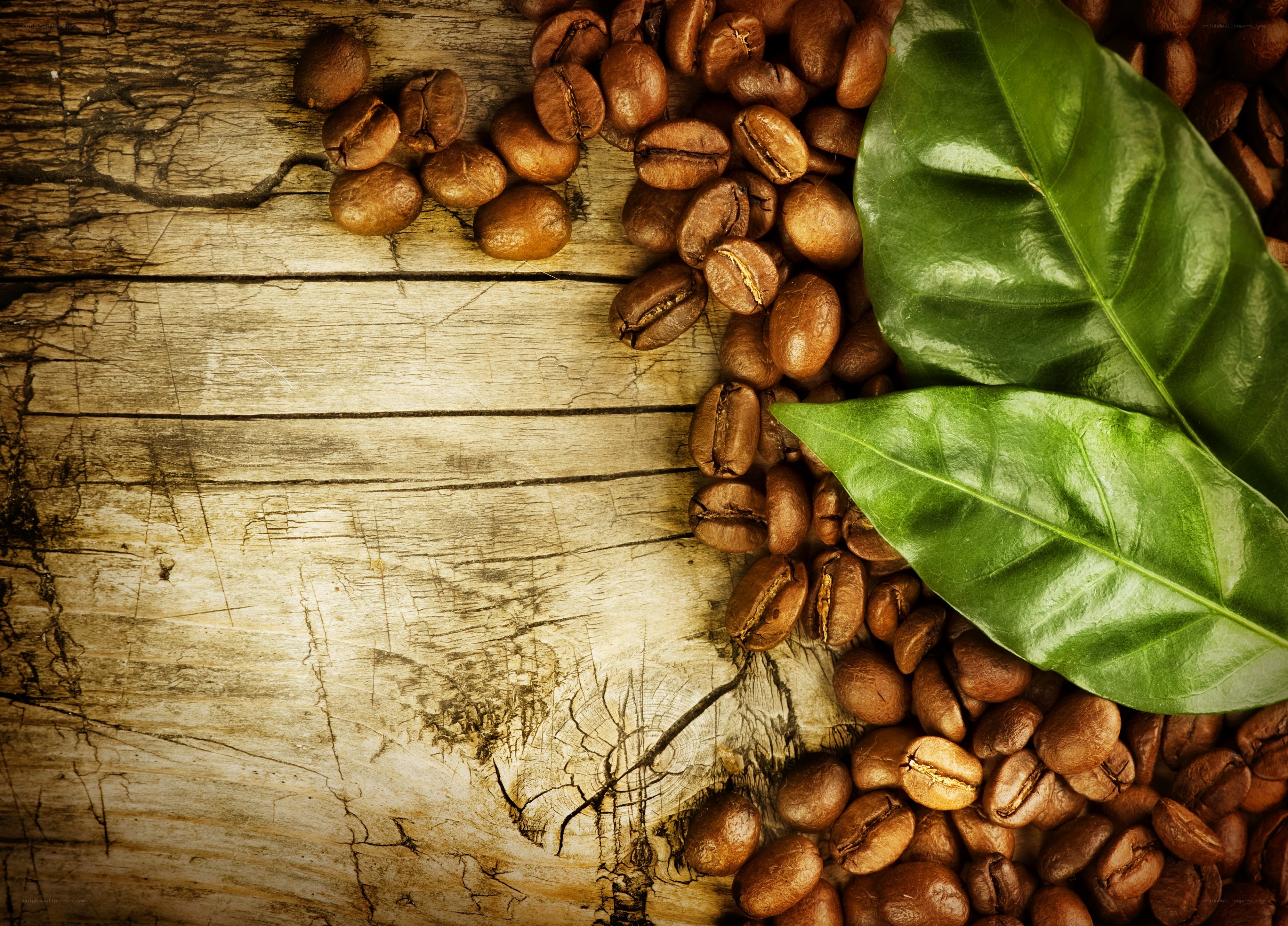 coffee beans and leaves on wood