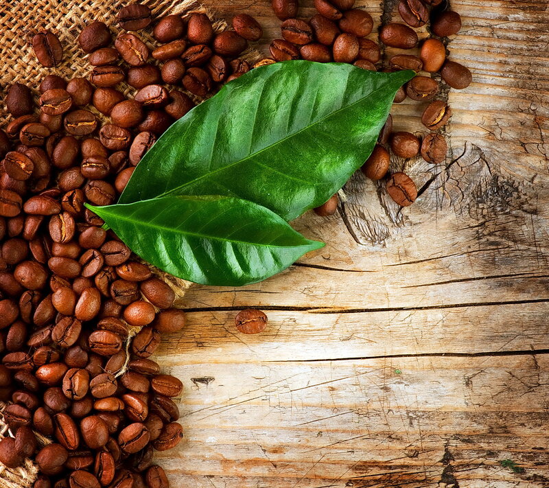 Coffee Beans and Leaves