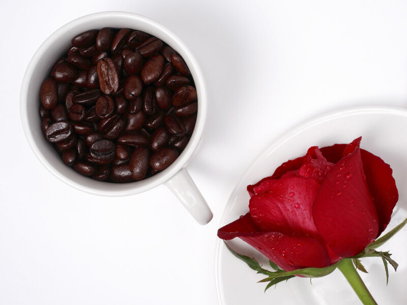 coffee beans and red rose