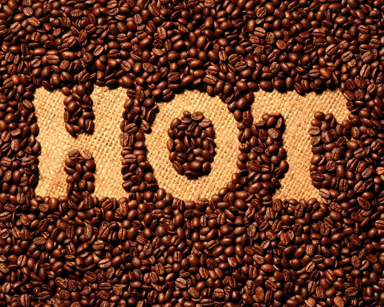 coffee beans forming a logo