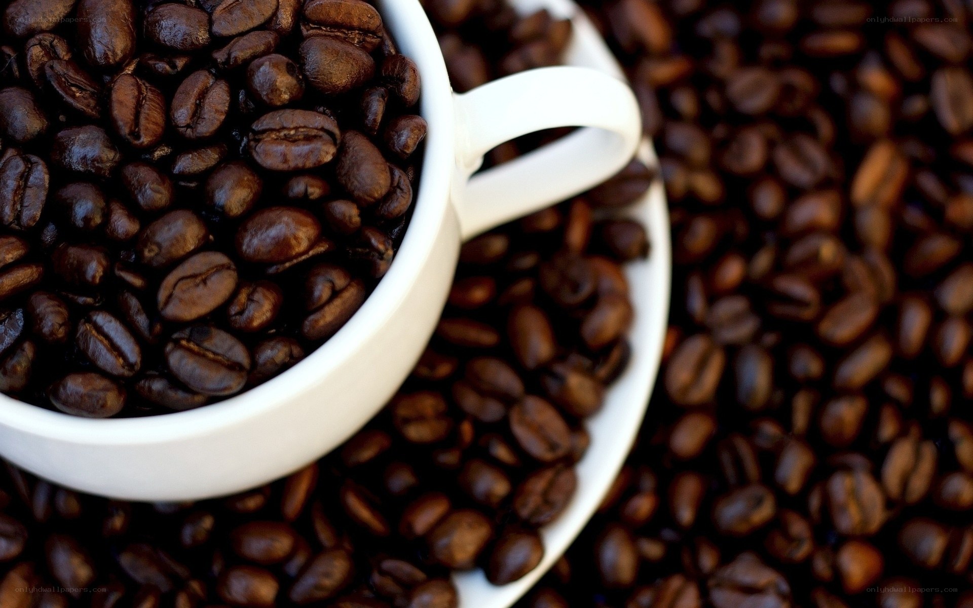coffee beans in a cup