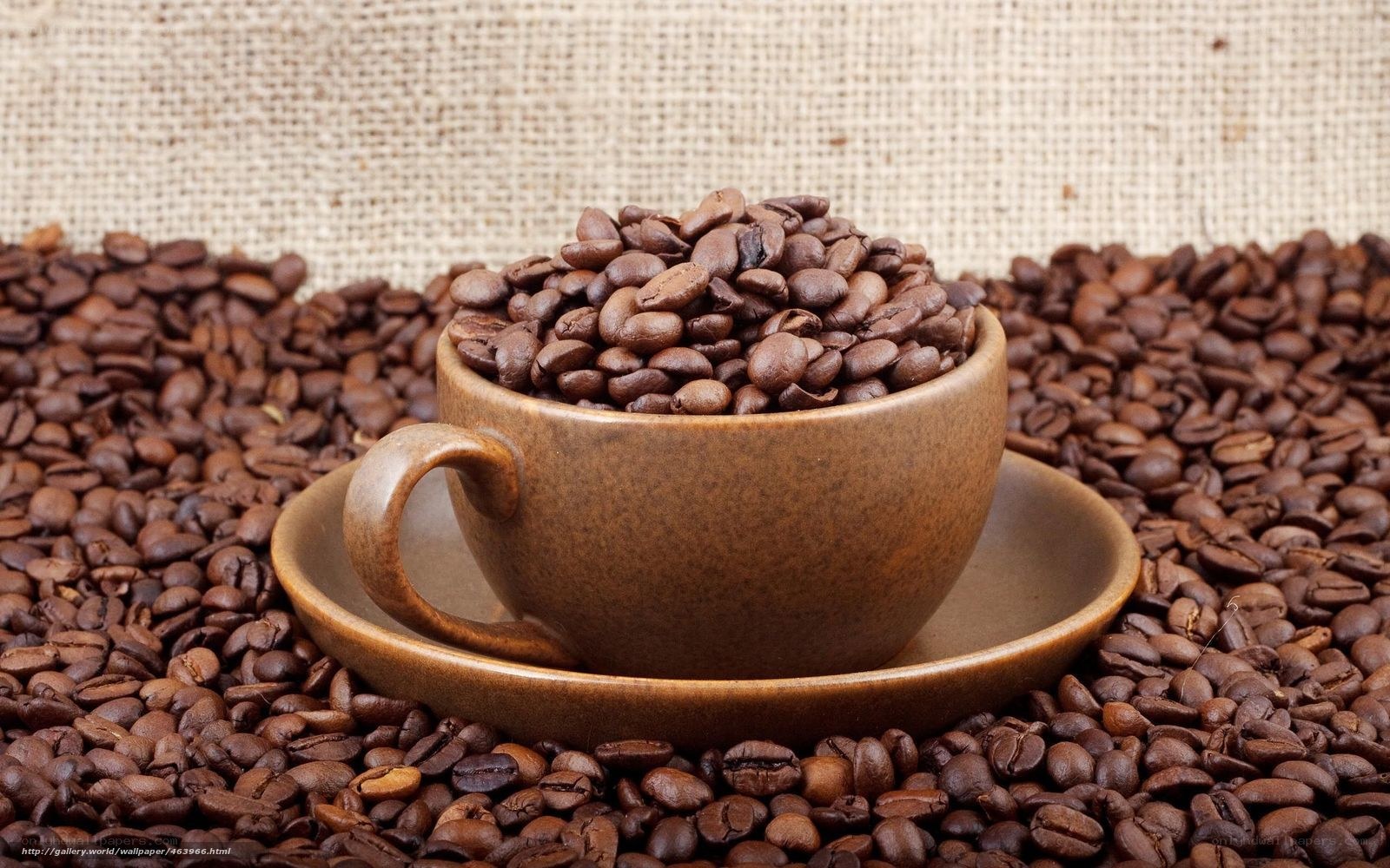 coffee beans in a cup