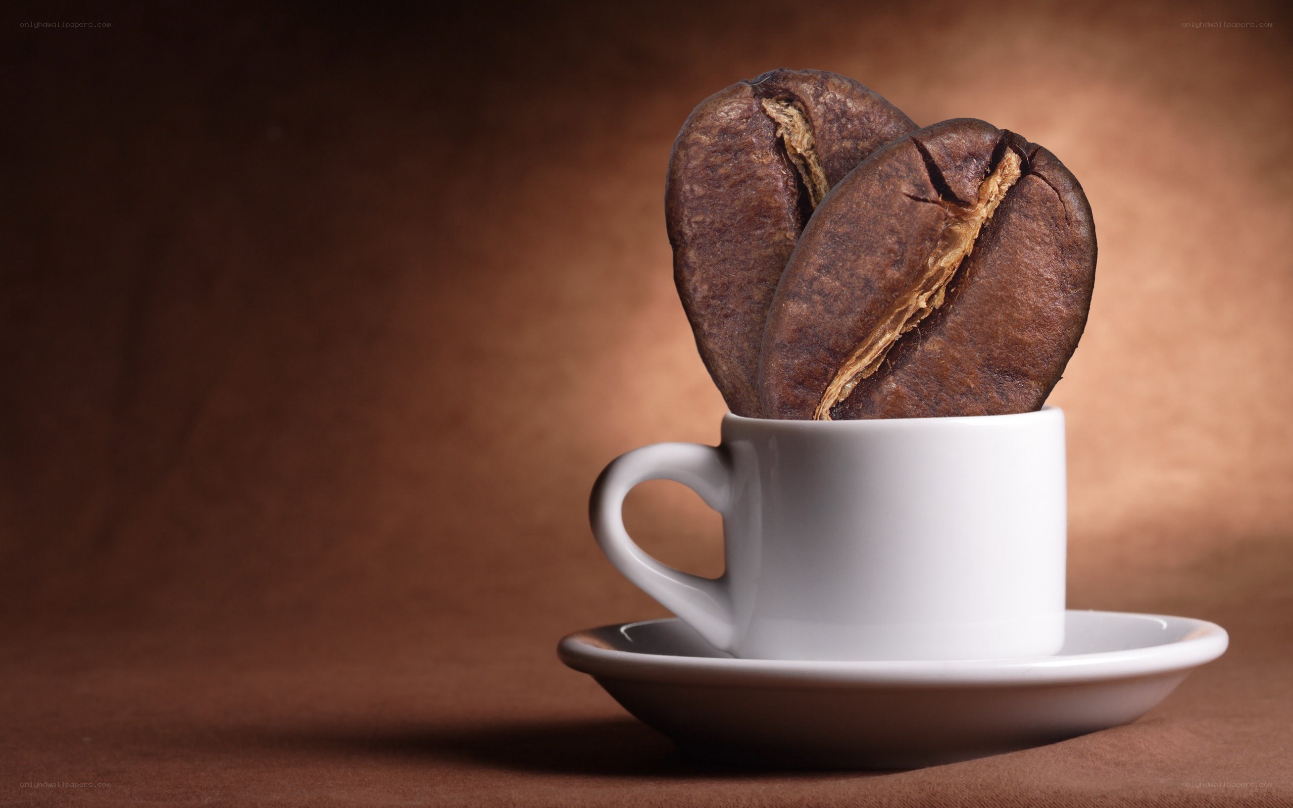 coffee beans in a cup