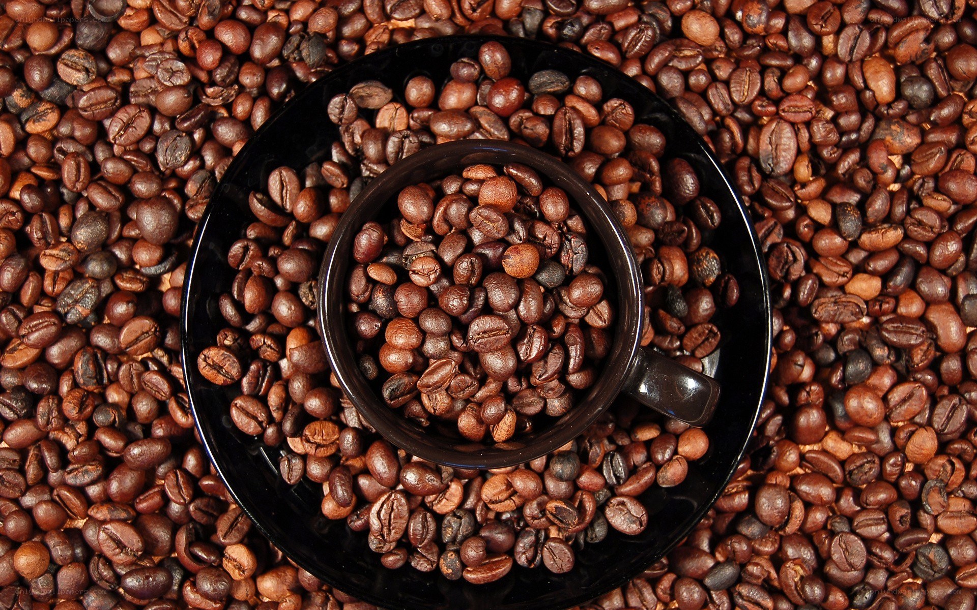 coffee beans in a cup