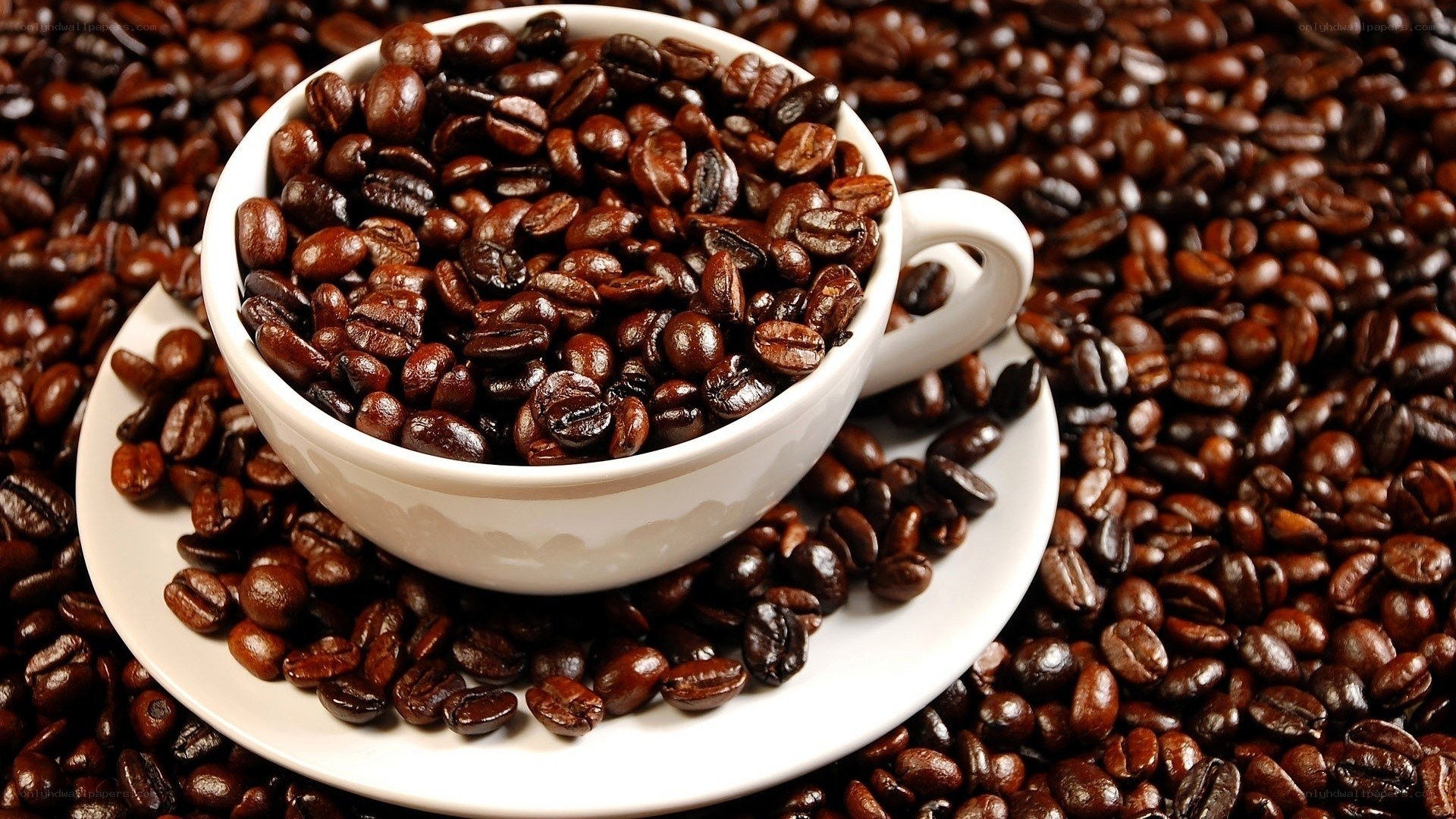 coffee beans in a cup