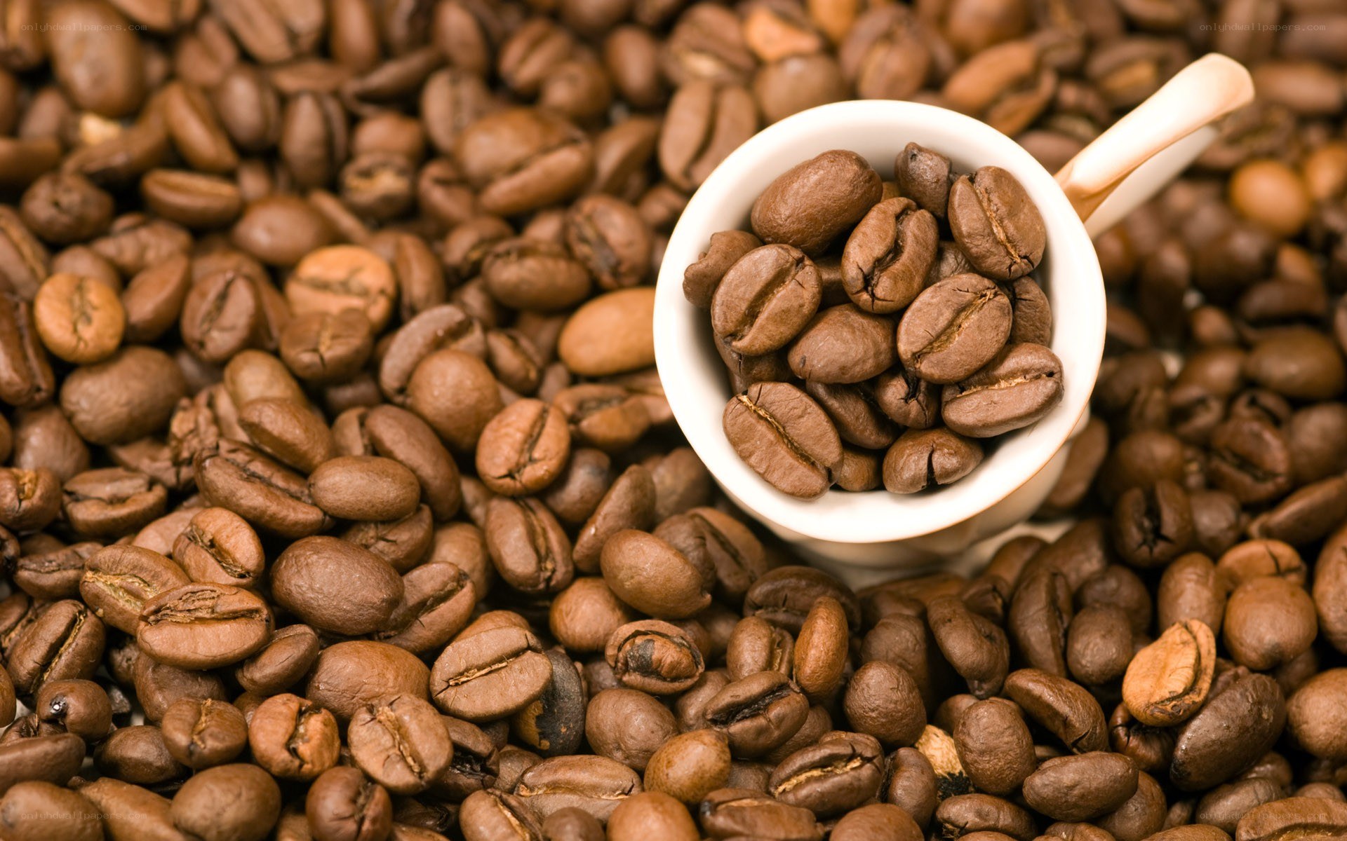 coffee beans in a cup