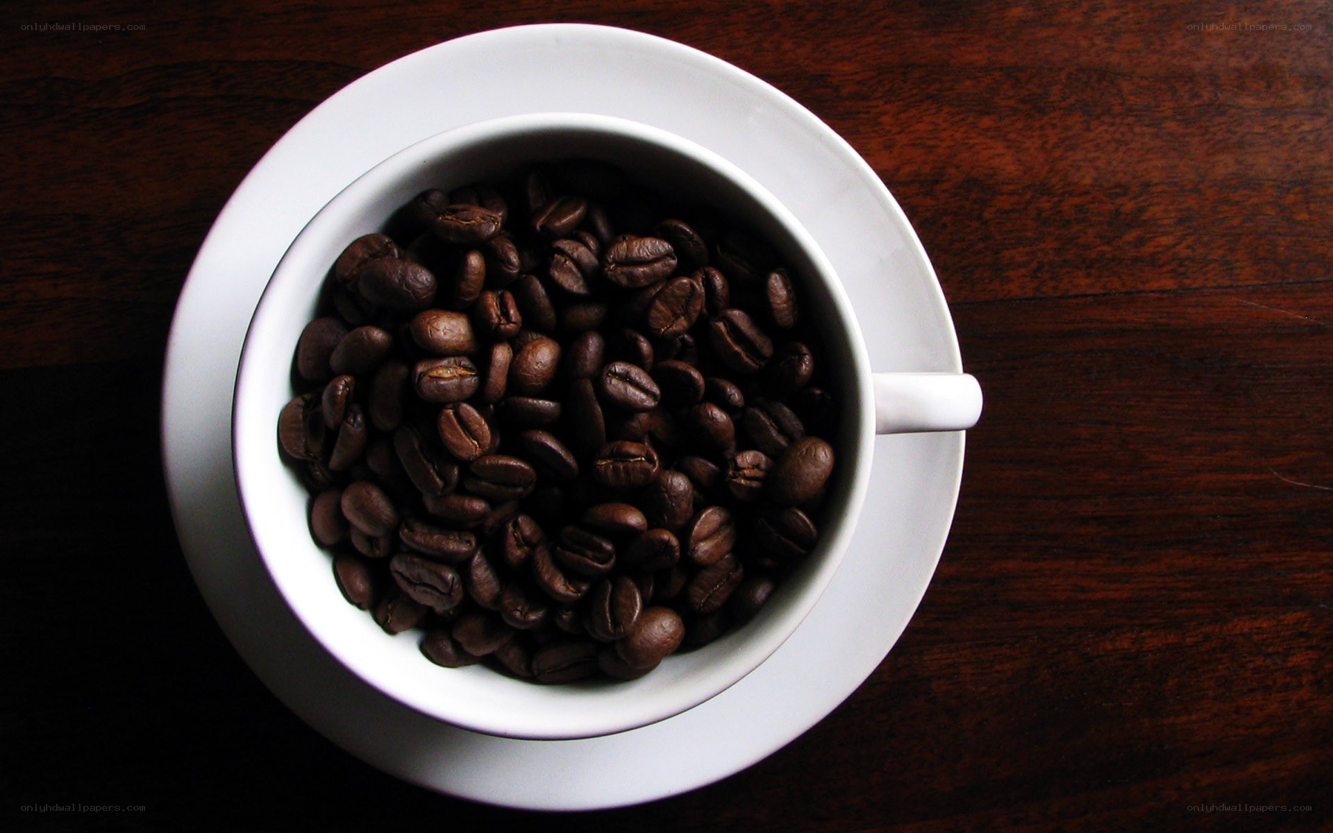 coffee beans in a cup