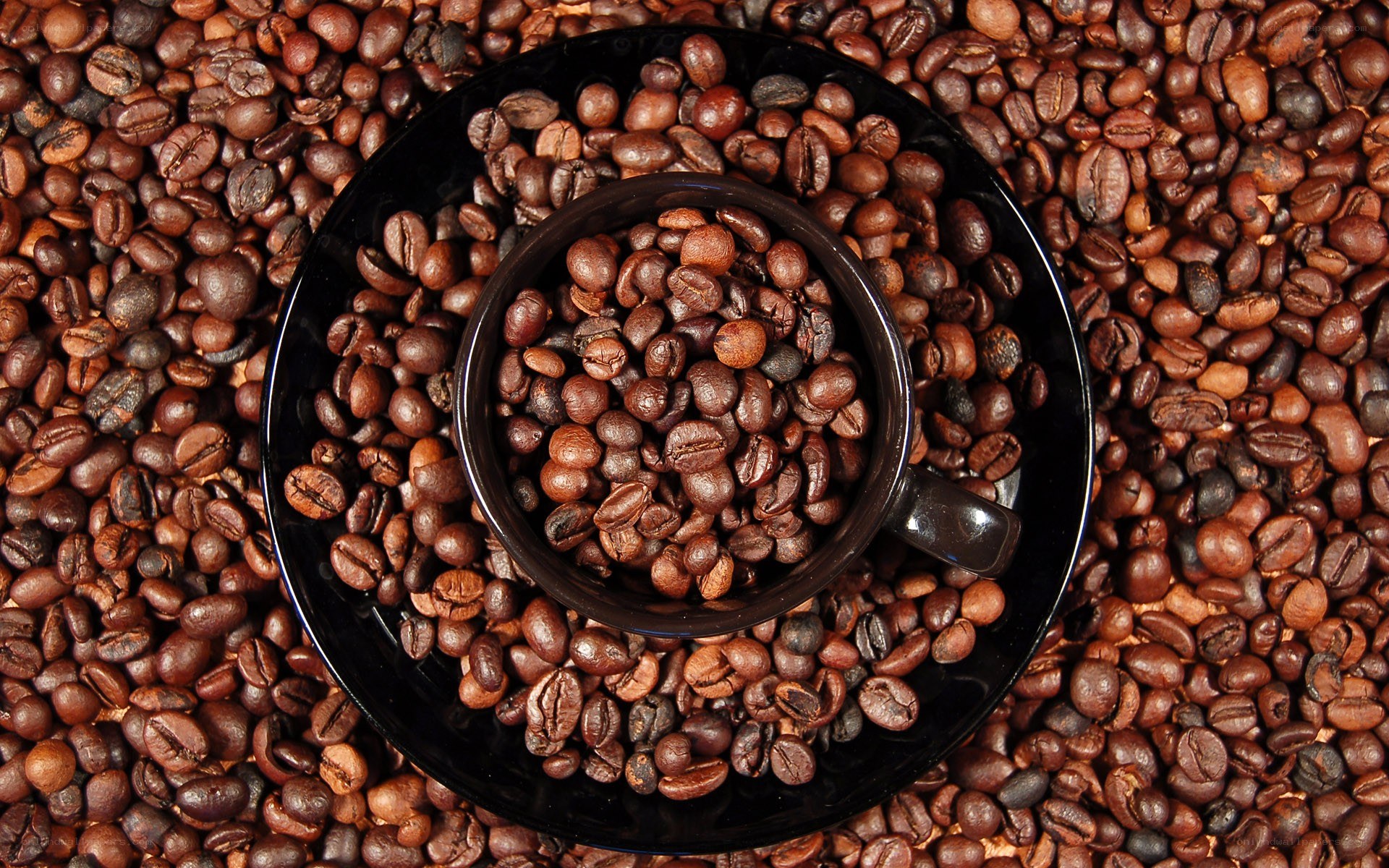coffee beans in a cup