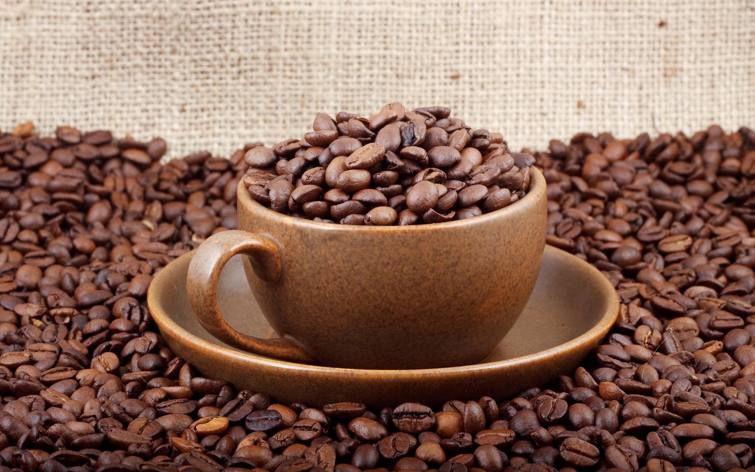coffee beans in a cup