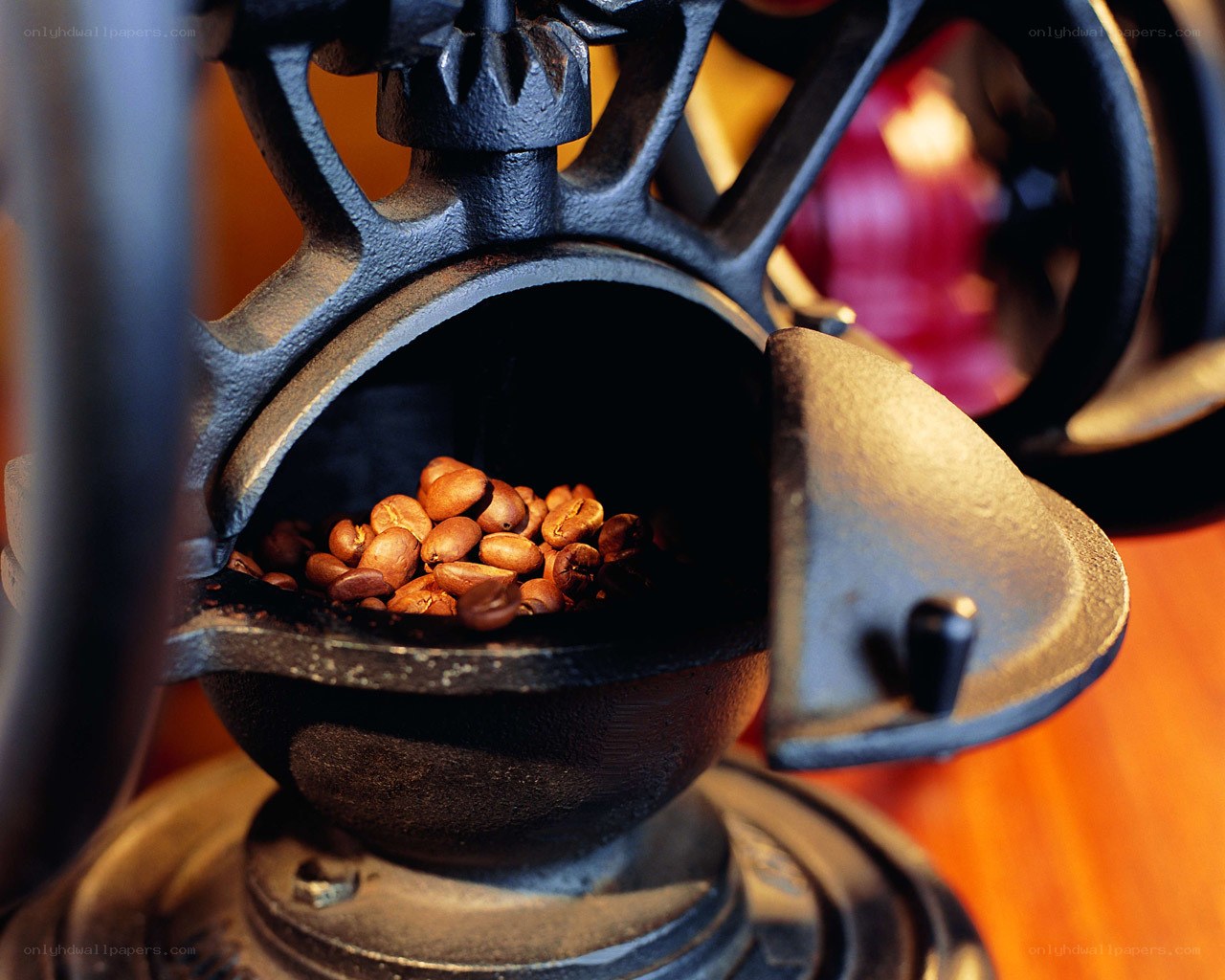 coffee beans in a grinder