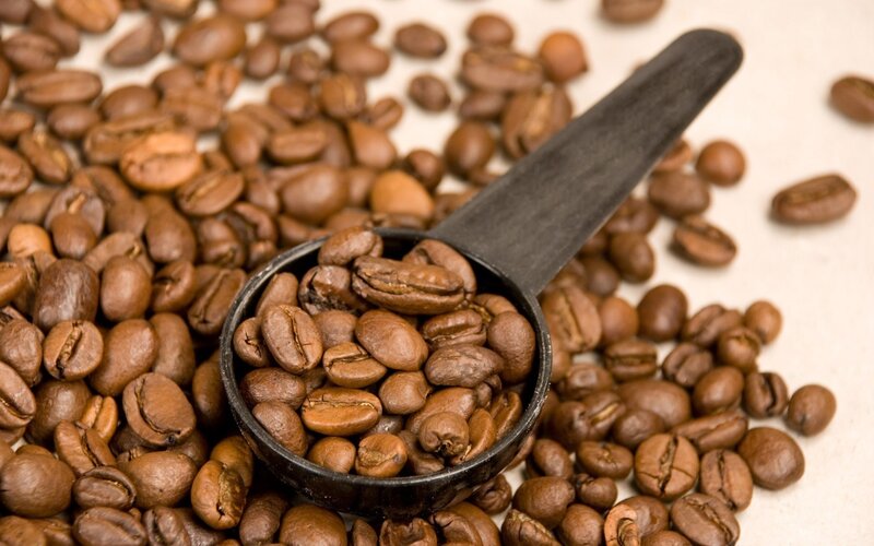 coffee beans in a scoop