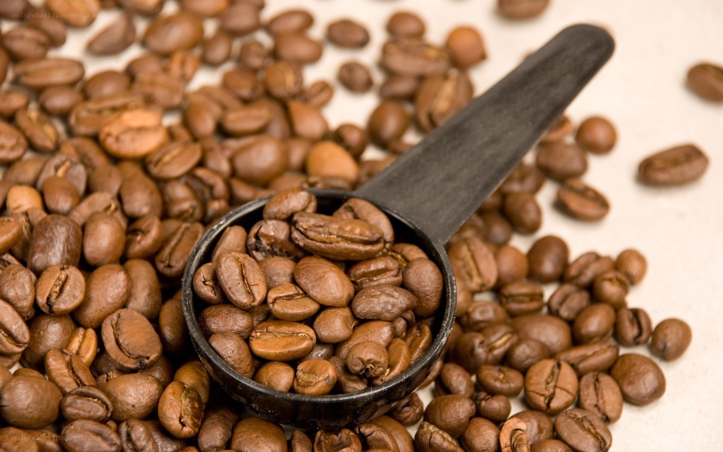 coffee beans in a scoop