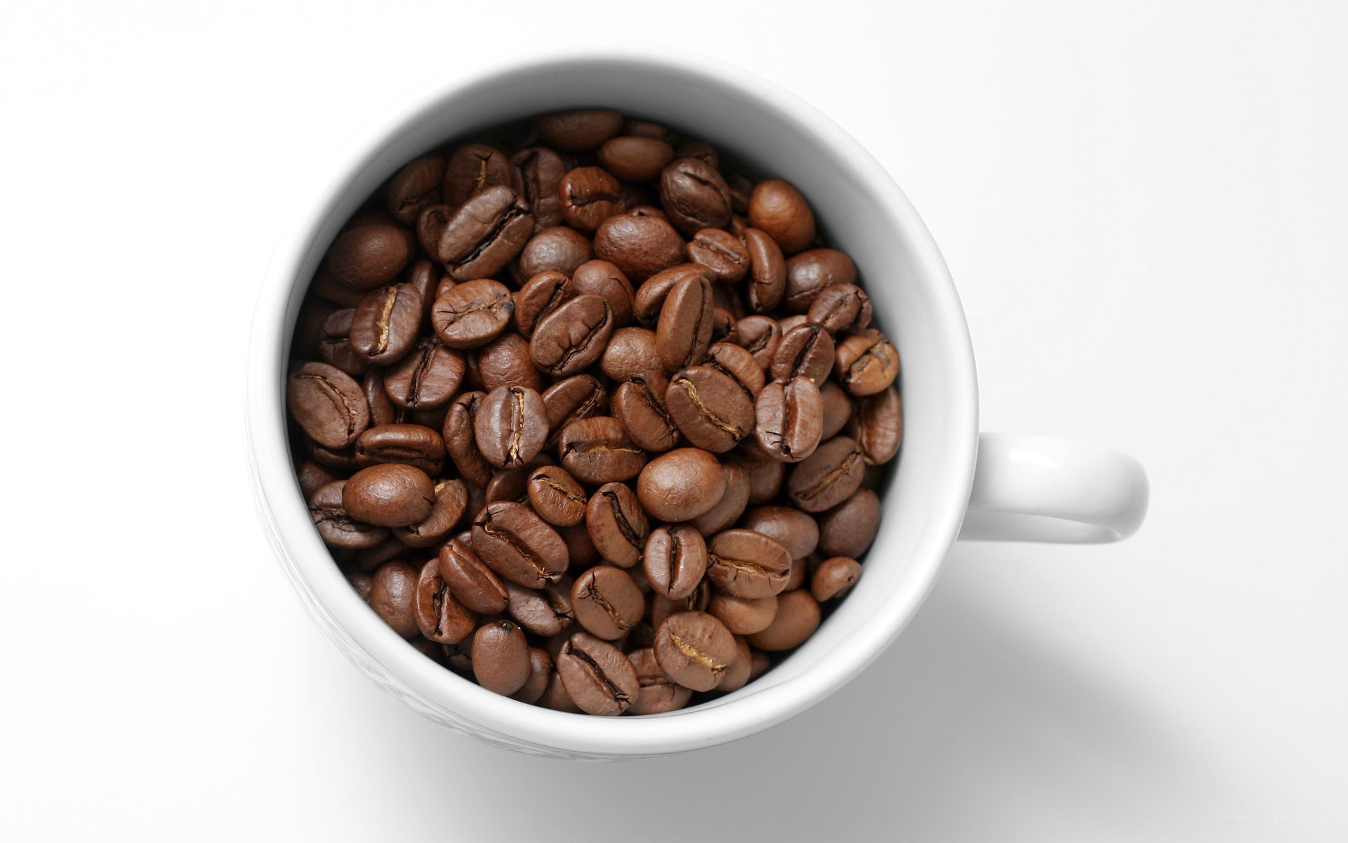 coffee beans in a white cup