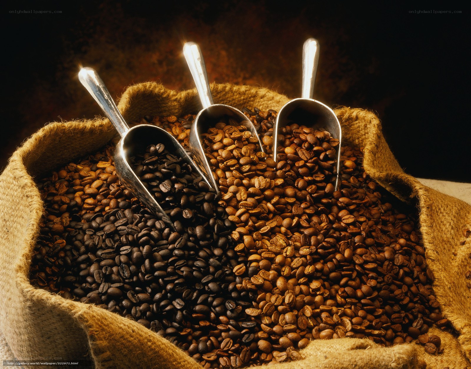 coffee beans in burlap sack