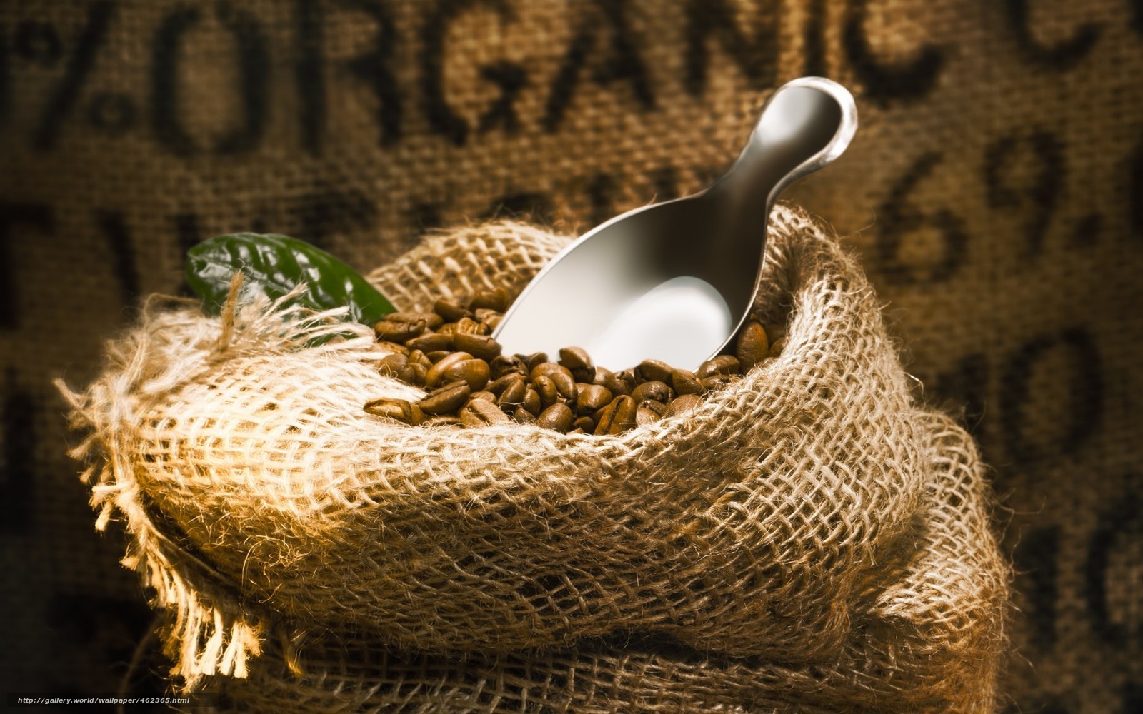 Coffee beans in burlap sack