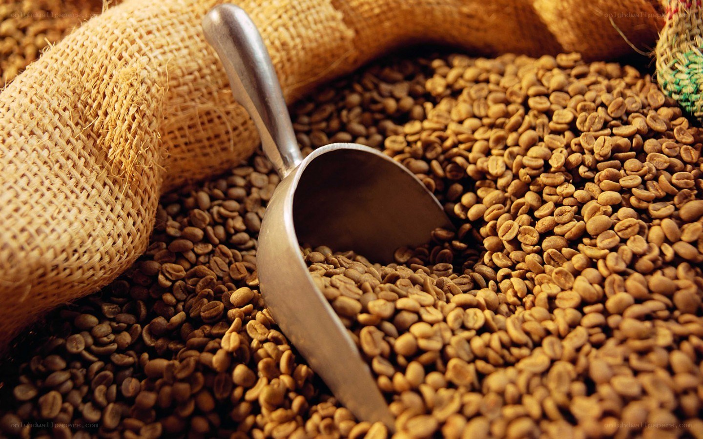 coffee beans in burlap sack