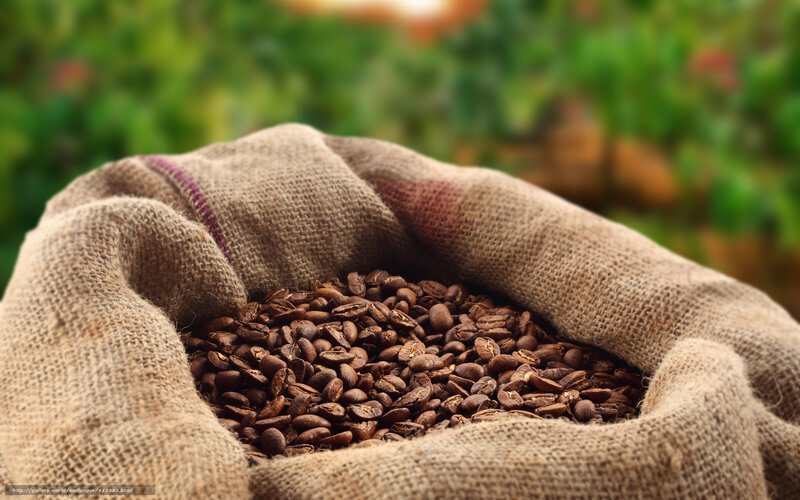 Coffee Beans in Burlap Sack — Brown, Natural