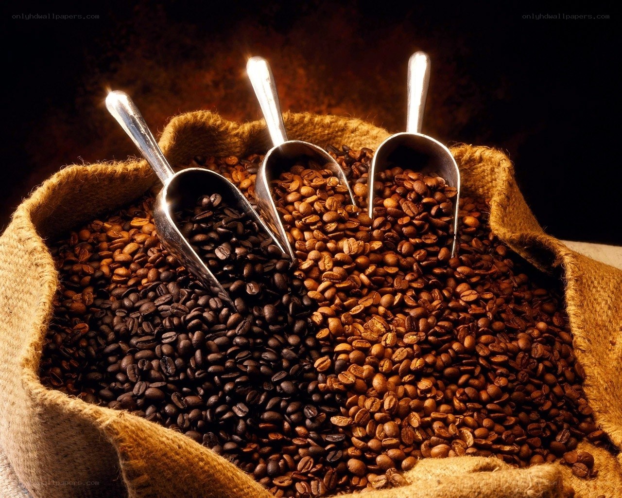 coffee beans in burlap sack