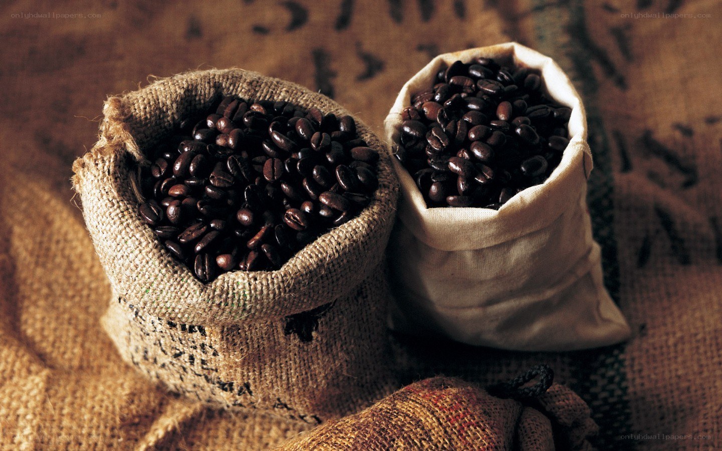 Coffee beans in burlap sacks