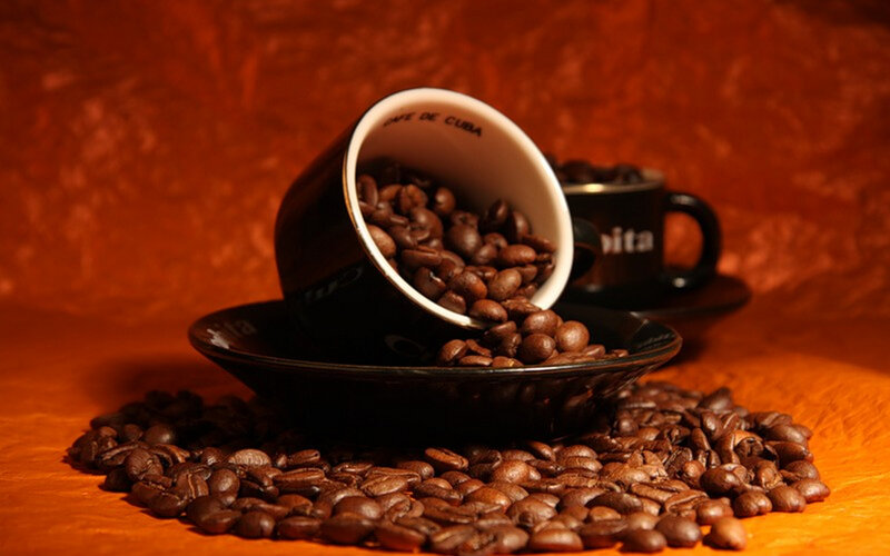 Coffee Beans in Cup — Brown, Dramatic