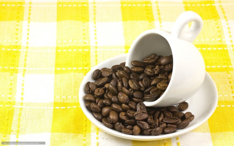 Coffee Beans in Cup — Yellow, Calm