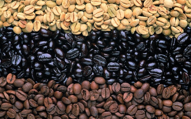 coffee beans in stages