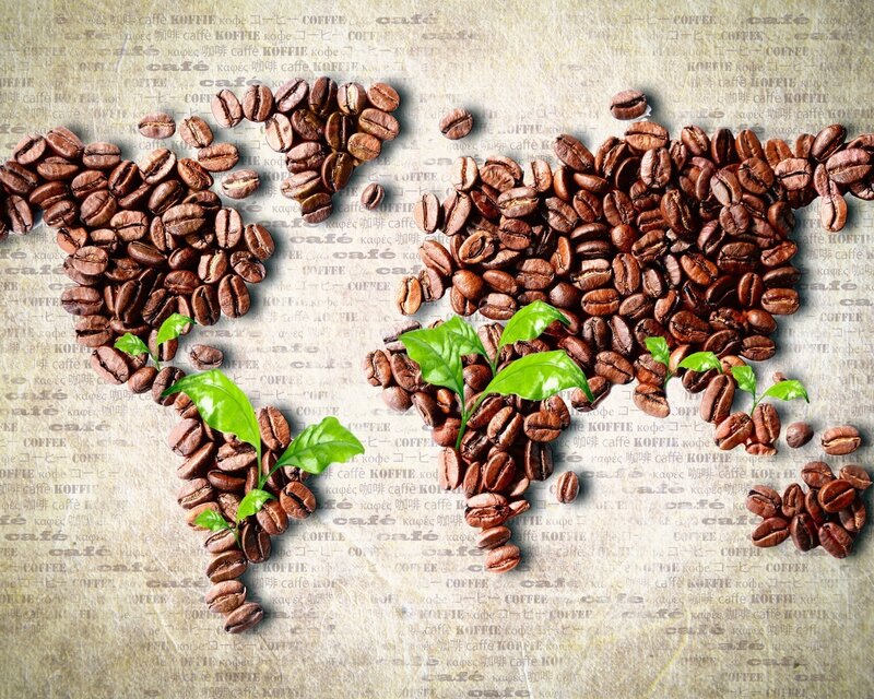 Coffee Beans Map — Brown