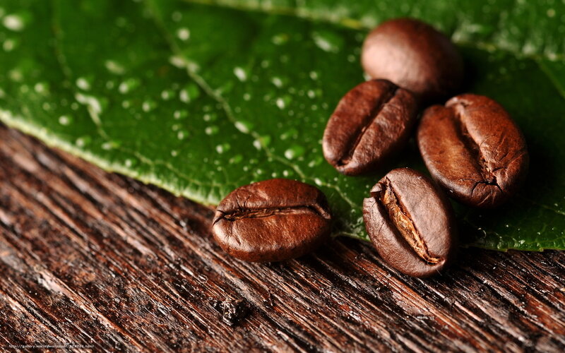 Coffee Beans on Leaf — Brown