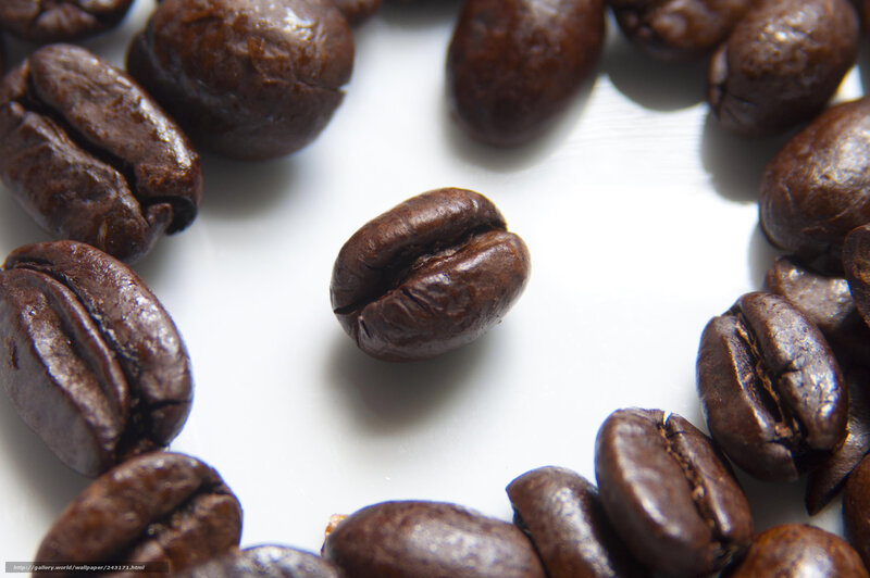 coffee beans on white surface