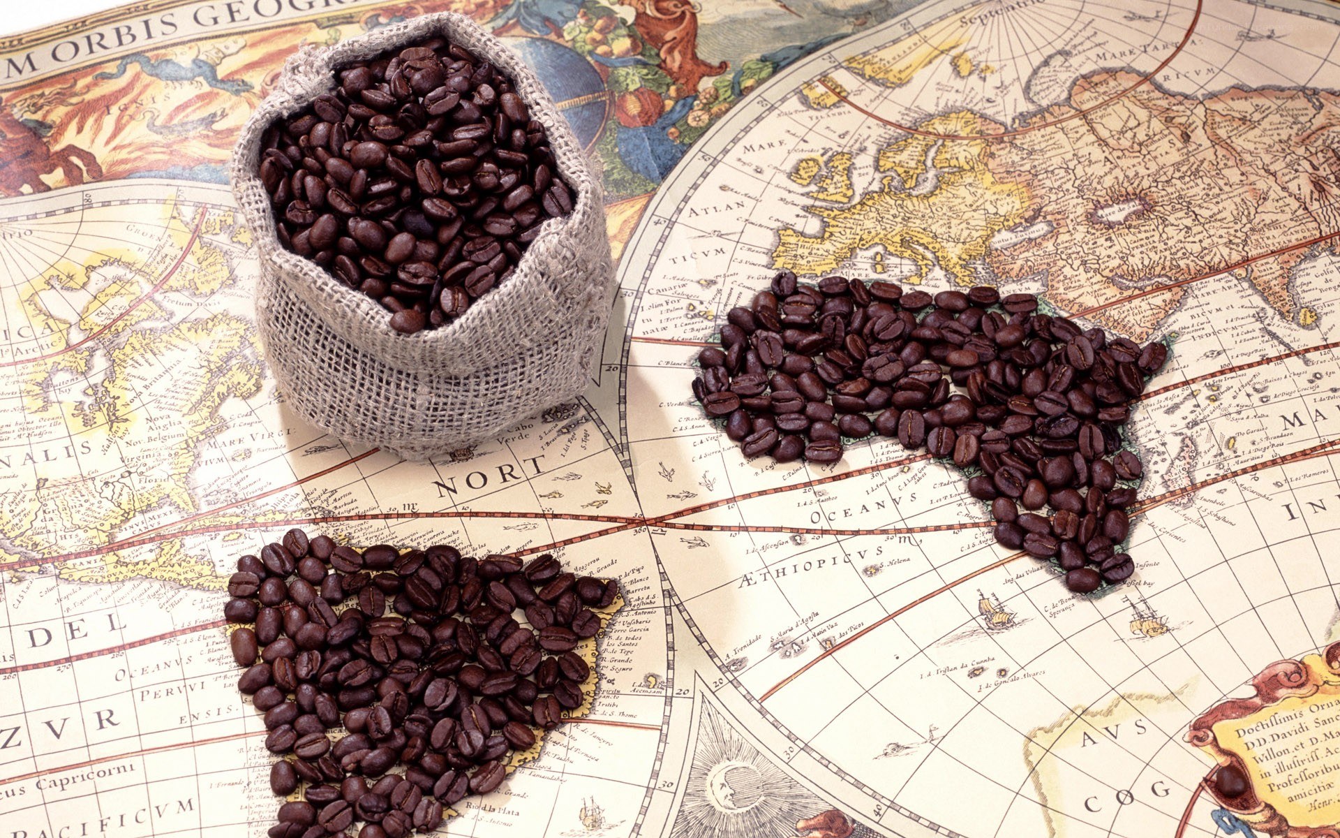 coffee beans on world map