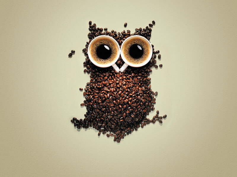 Coffee Beans Owl