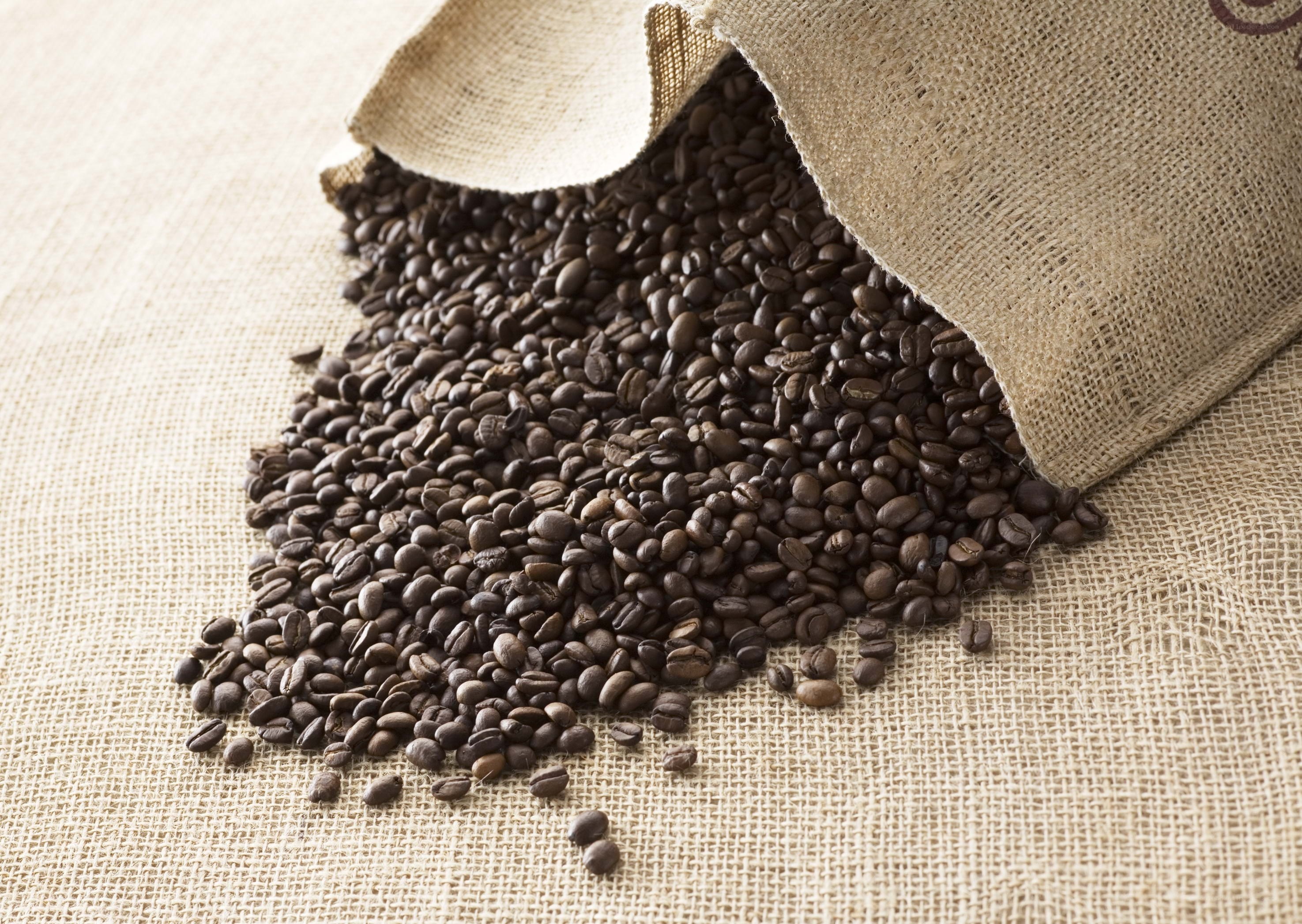 coffee beans spilling from burlap sack