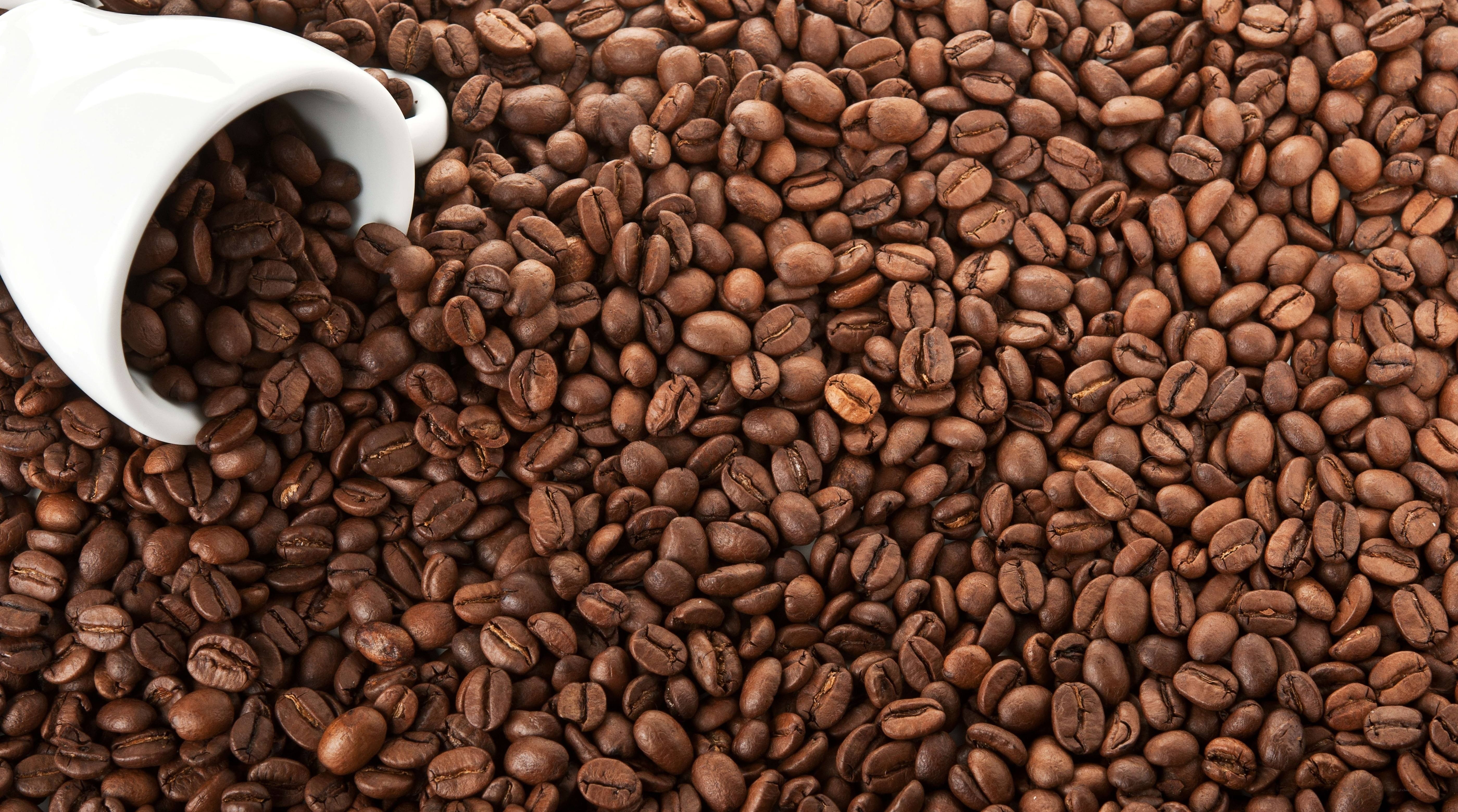 coffee beans spilling from cup