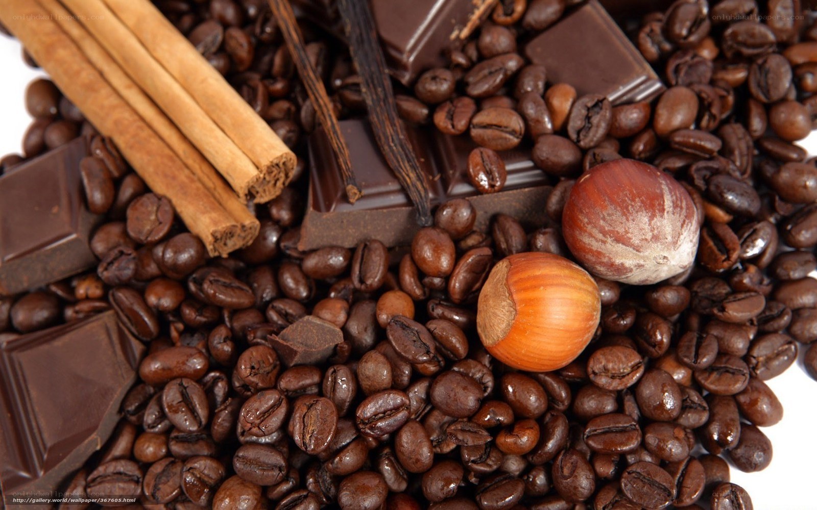 coffee beans with chocolate and spices